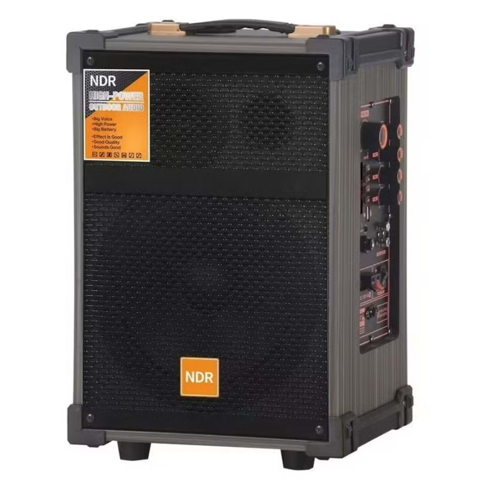 NDR-C8 BT Kablosuz Hoparlör Bass Müzik Kutusu 2 Kablosuz Mikrofonlu