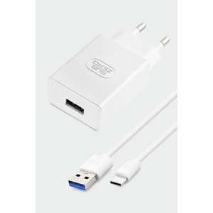 Subzero SG59 12W 2.4A Type-C Ev Şarj Aleti