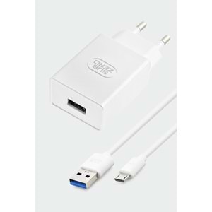 Subzero SG58 12W 2.4A Micro Ev Şarj Aleti