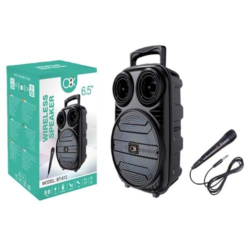 Platoon PL-4668 Bluetooth/Sd/Usb Girişli 6.5