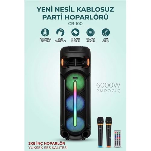 Carboon CB-100 Profosyonel Işıklı Çift Kablosuz Mikrofonlu Müzik Kutusu