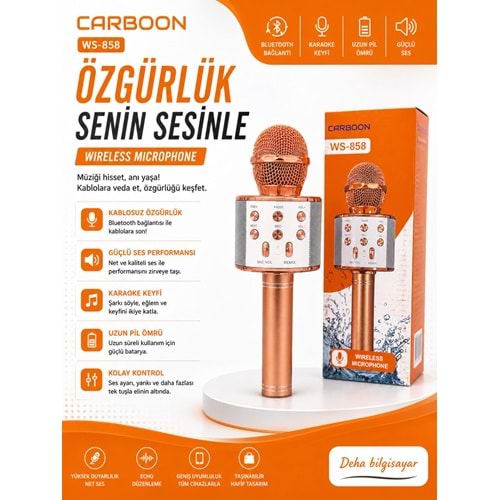 Carboon WS-858 Karaoke Mikrofon